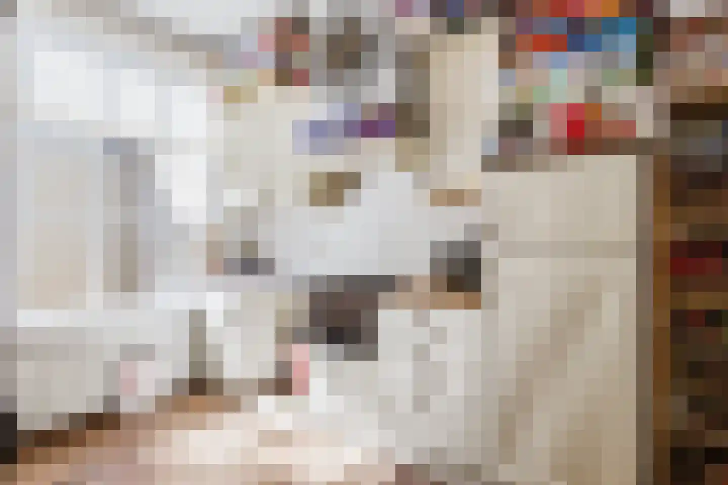 Hamstraat 1 Grave thumbnail 36