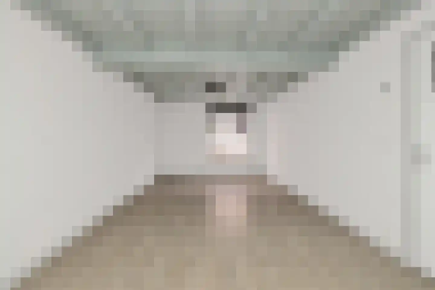 Hamstraat 10 Grave thumbnail 15
