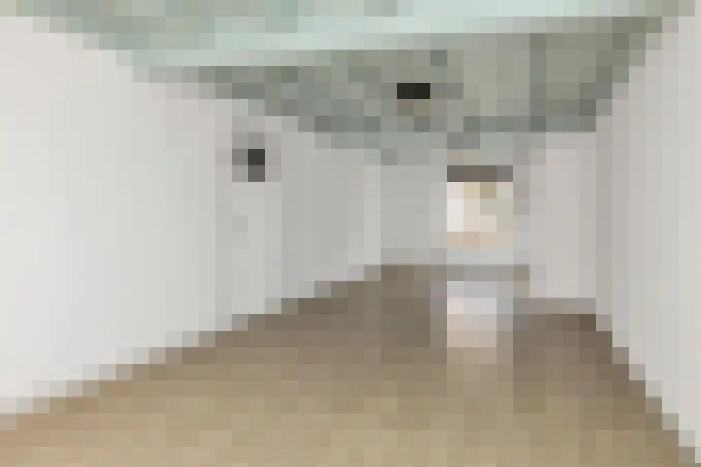 Hamstraat 10 Grave thumbnail 16