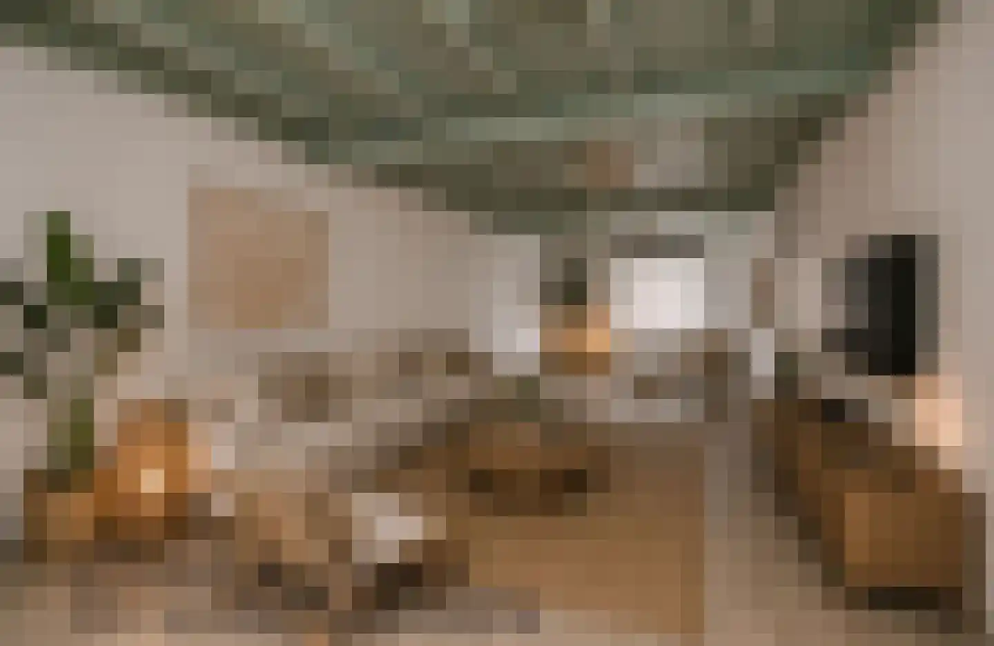 Hamstraat 10 Grave thumbnail 17
