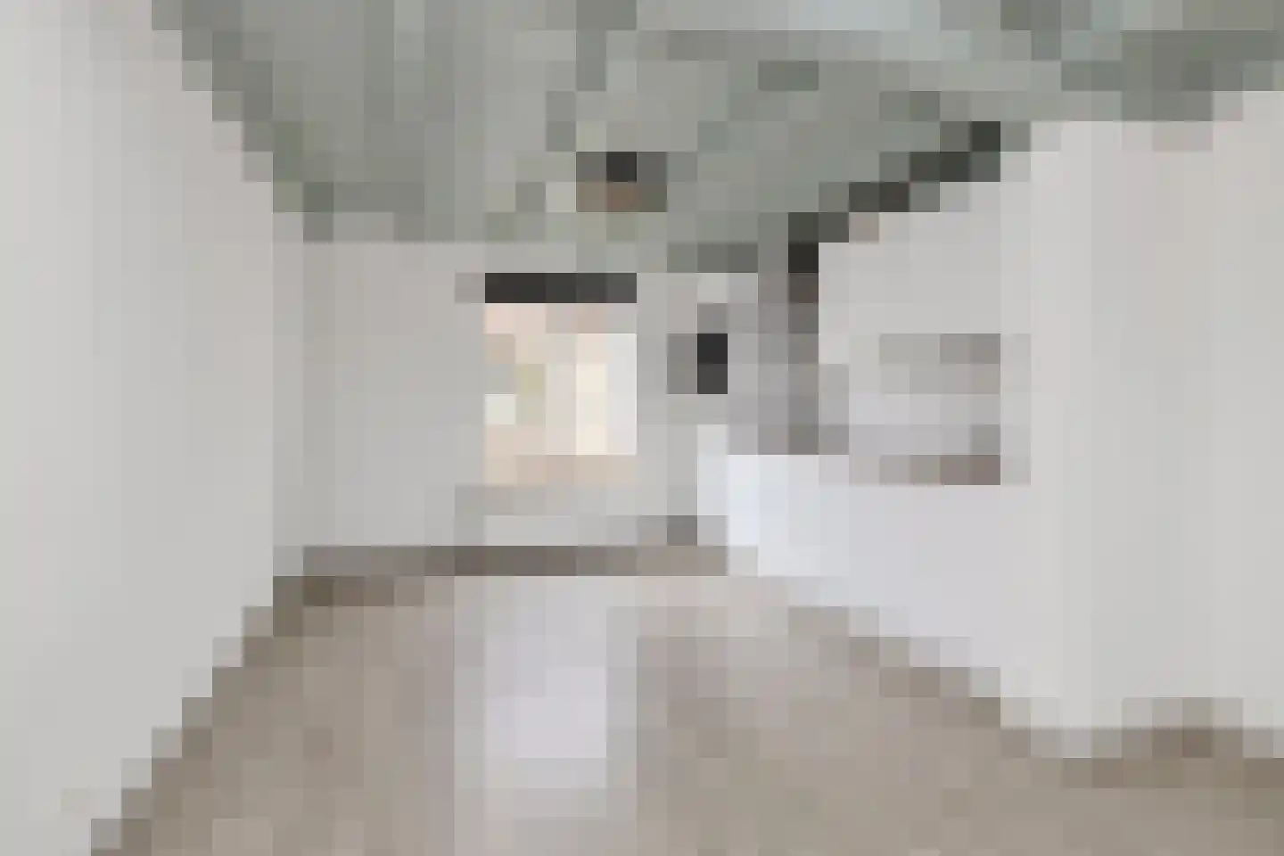 Hamstraat 10 Grave thumbnail 24