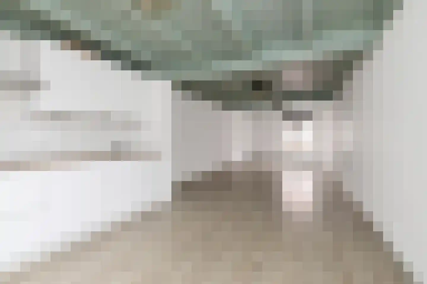 Hamstraat 10 Grave thumbnail 26
