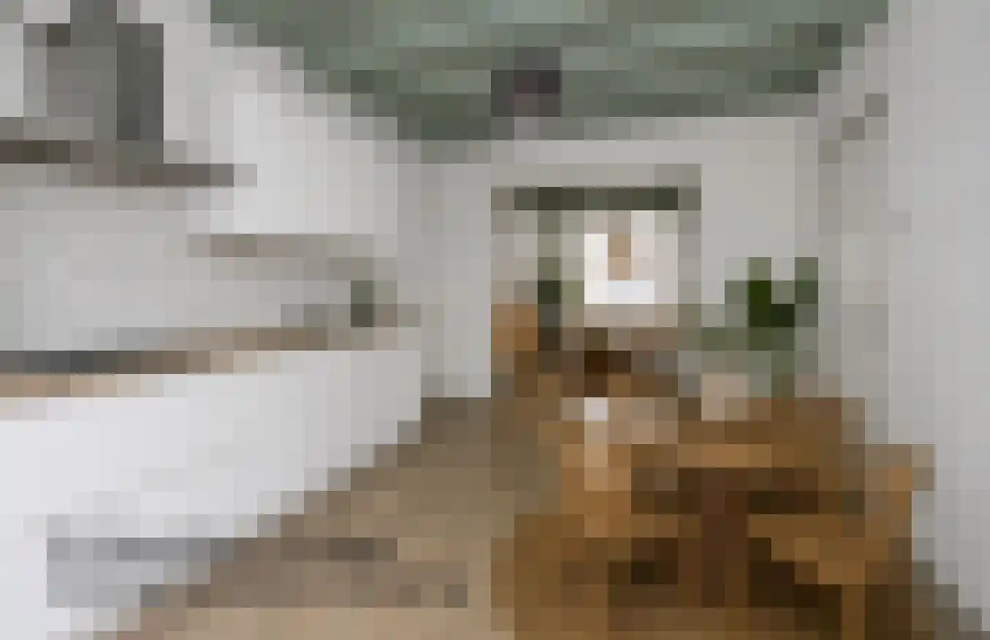Hamstraat 10 Grave thumbnail 35