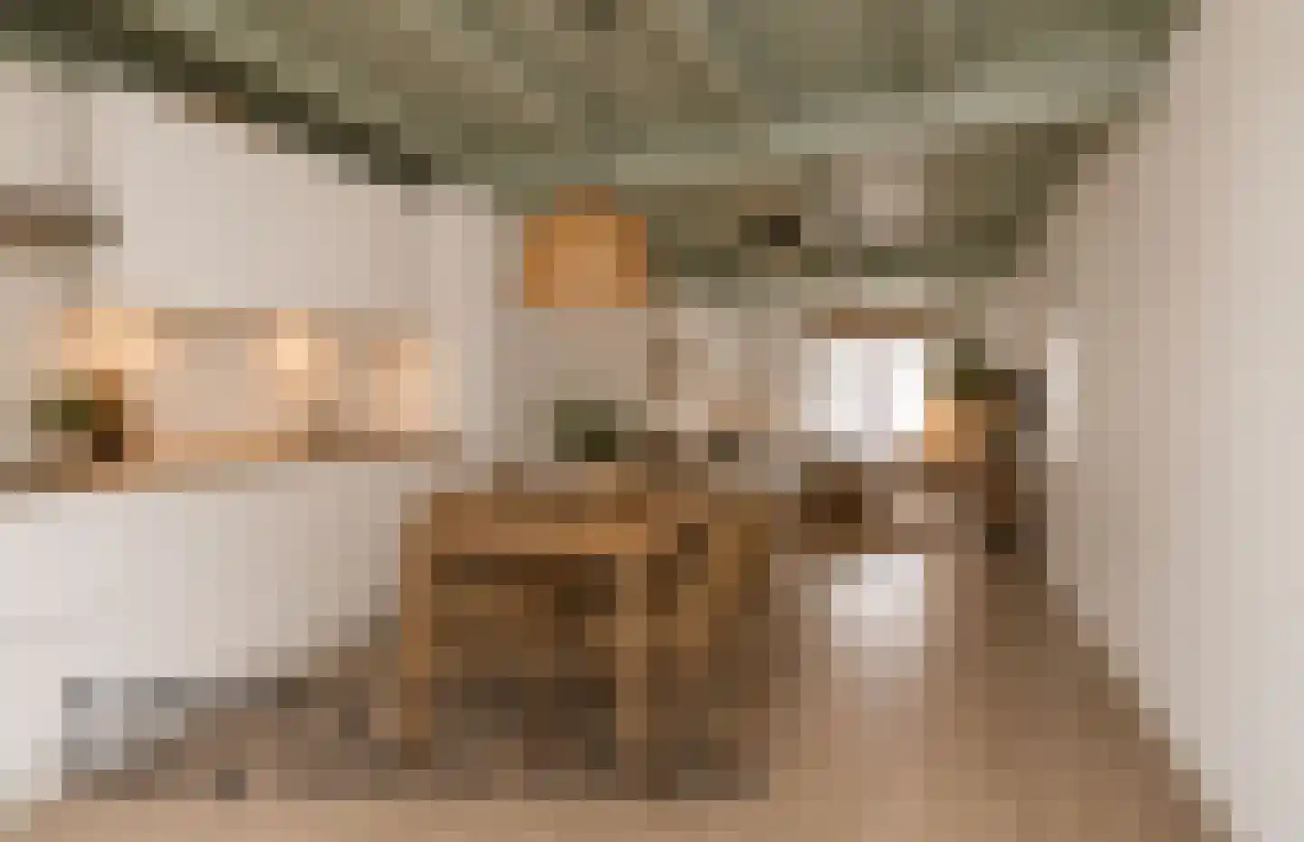 Hamstraat 10 Grave thumbnail 36