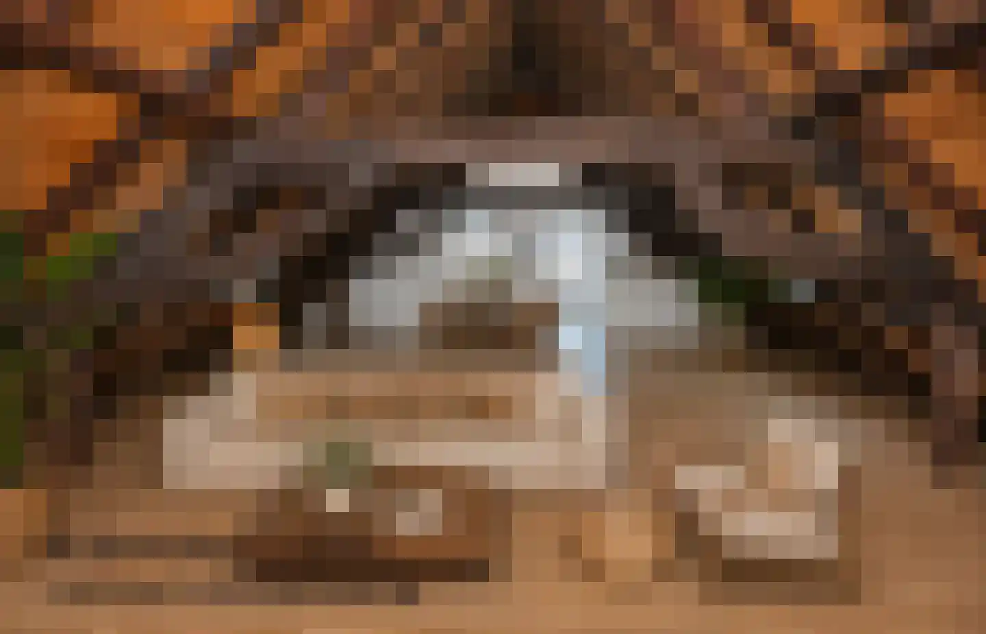 Hamstraat 10 Grave thumbnail 68