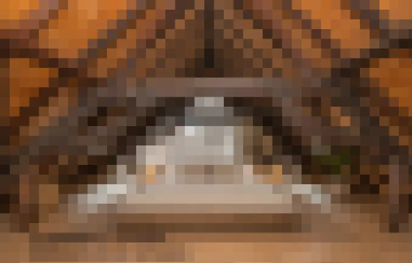 Hamstraat 10 Grave thumbnail 69