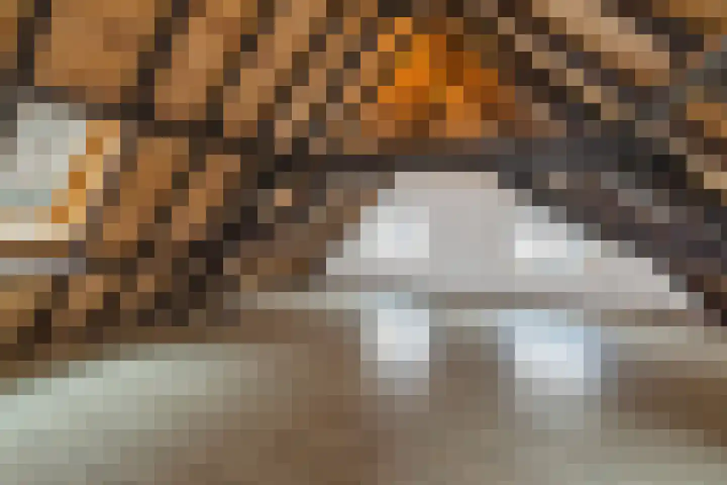 Hamstraat 10 Grave thumbnail 70