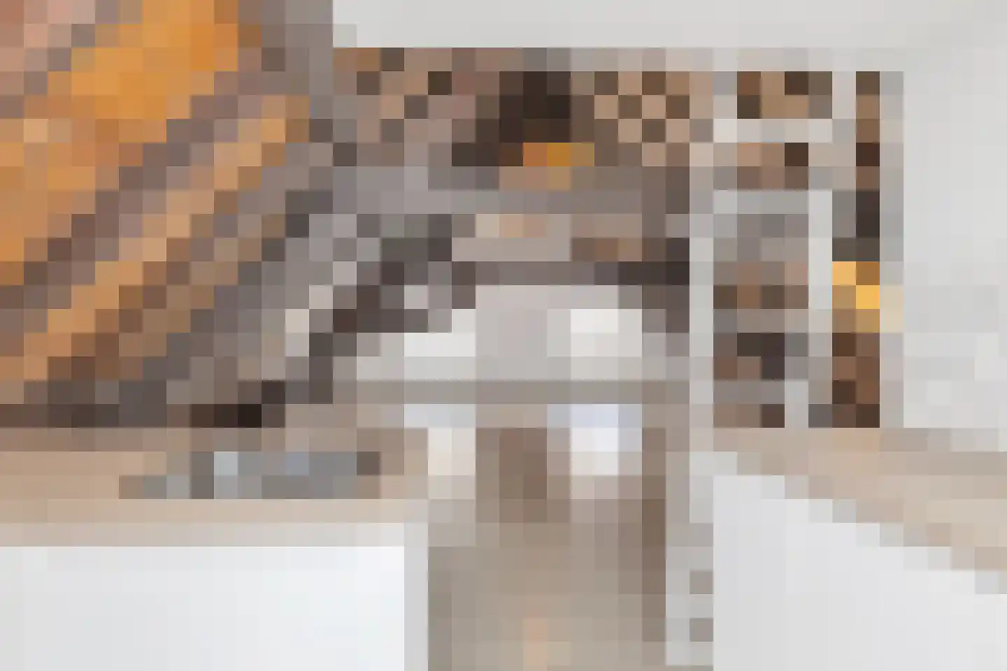 Hamstraat 10 Grave thumbnail 73