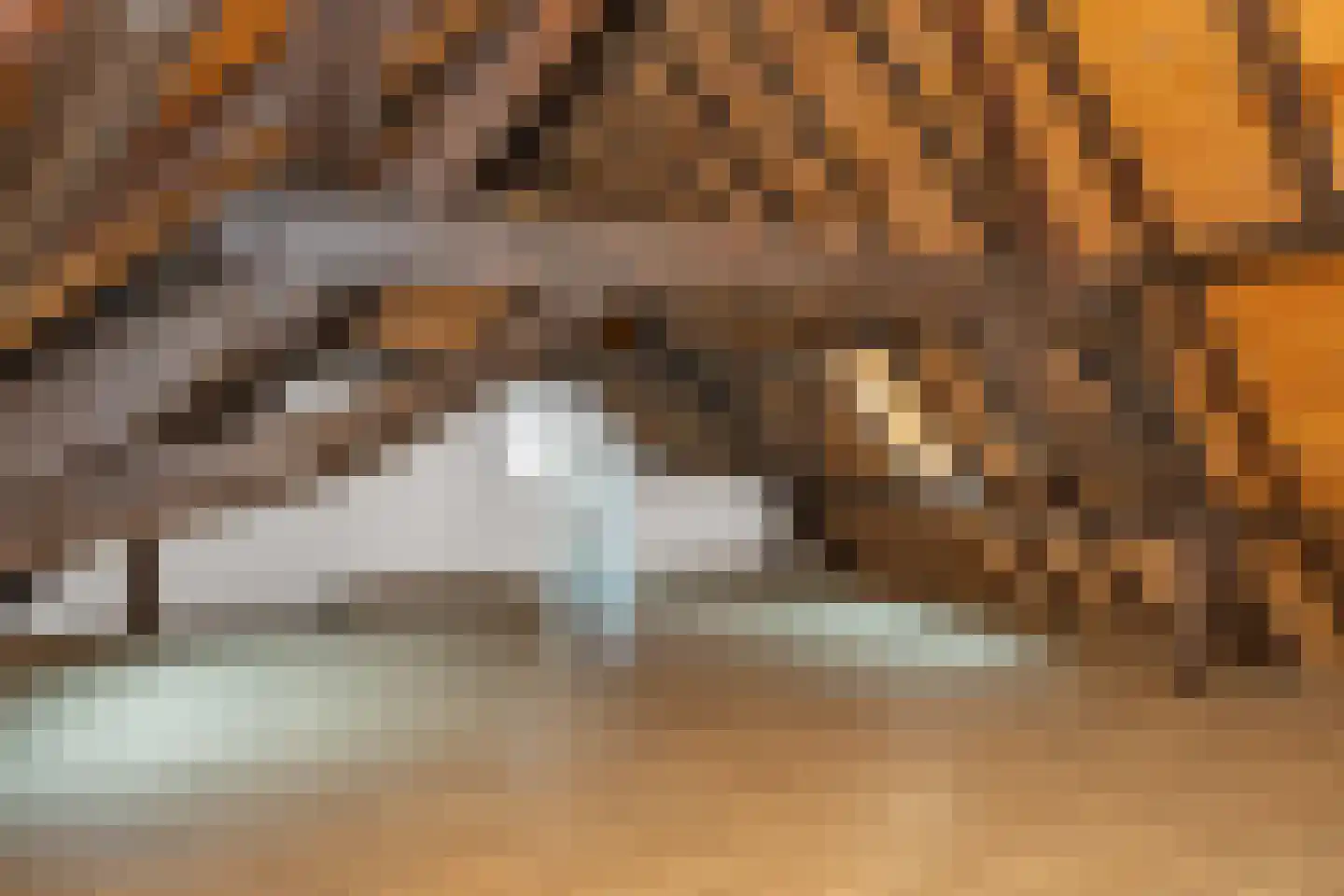 Hamstraat 10 Grave thumbnail 77