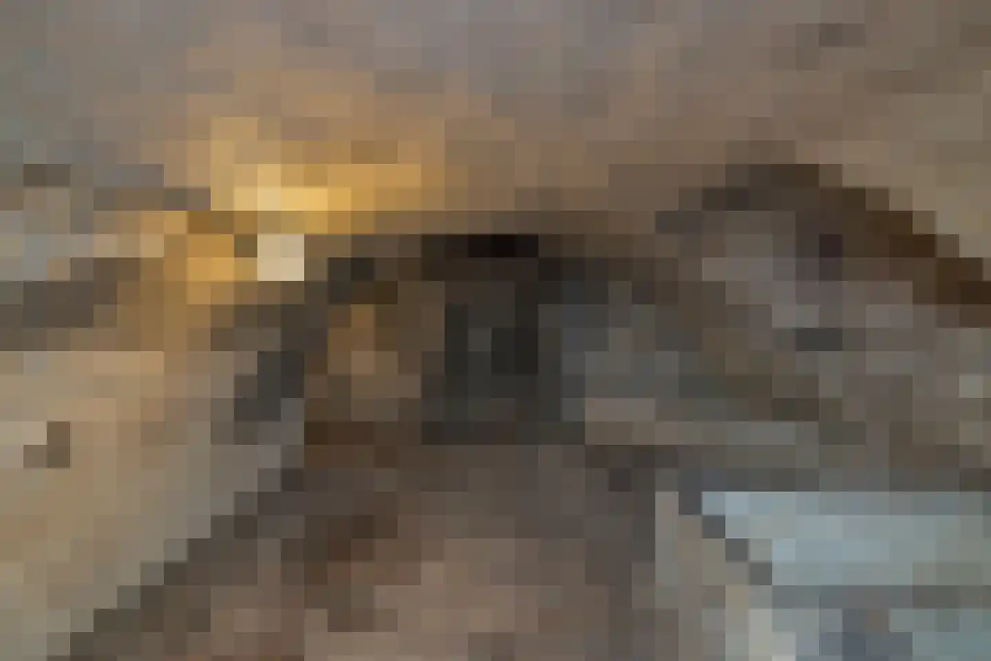 Hamstraat 10 Grave thumbnail 81