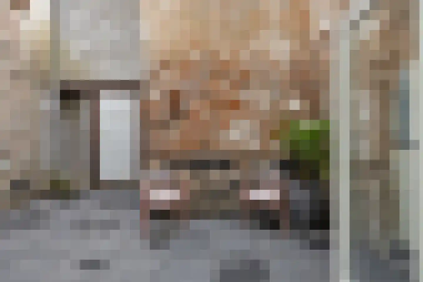 Hamstraat 10 Grave thumbnail 82