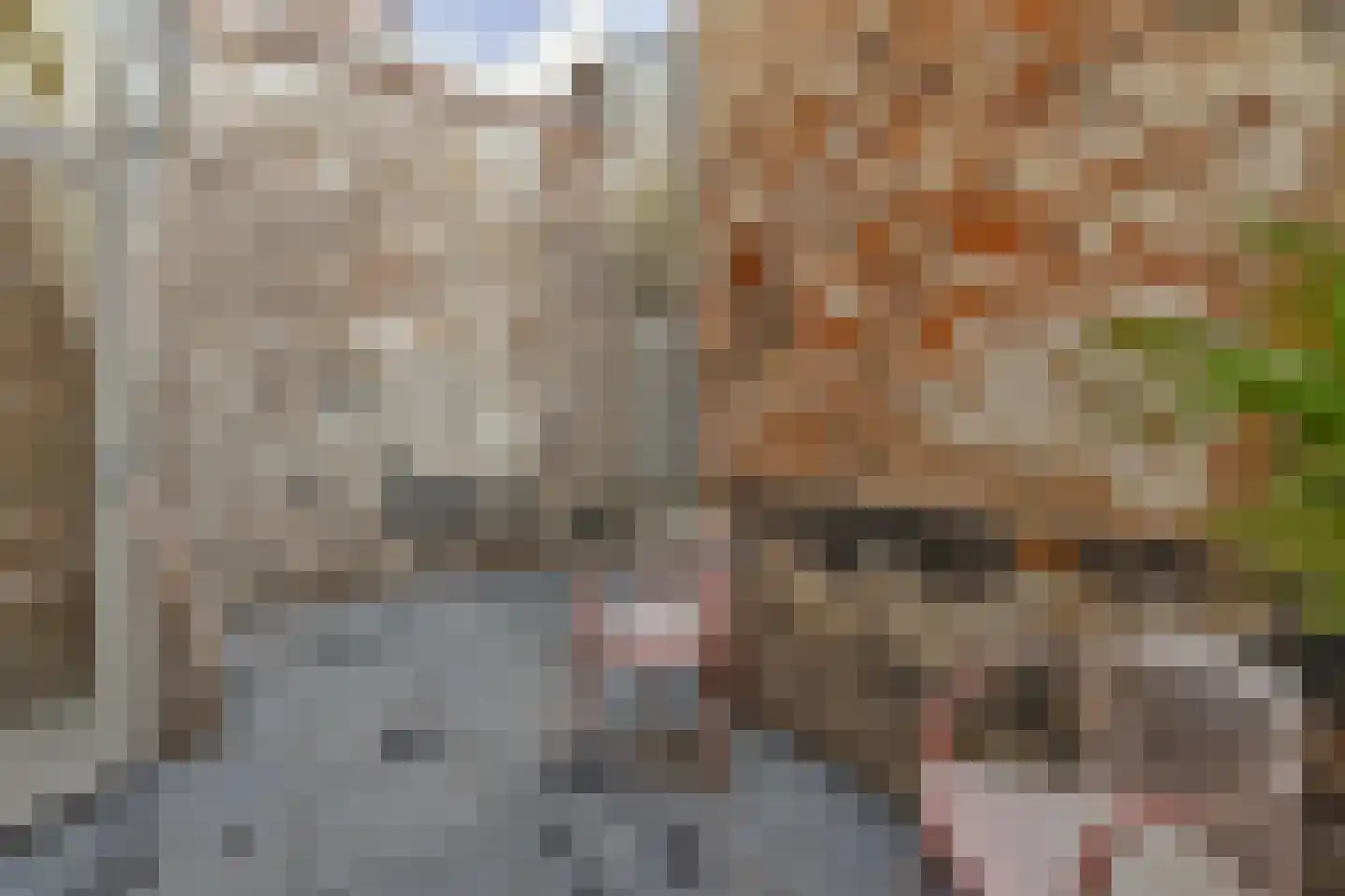 Hamstraat 10 Grave thumbnail 83