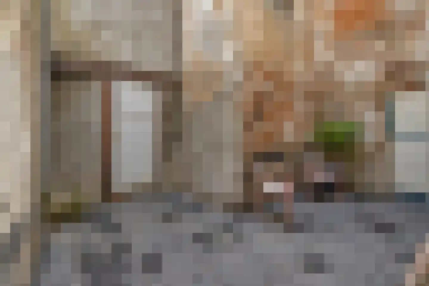 Hamstraat 10 Grave thumbnail 86