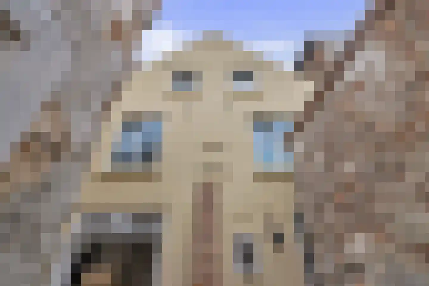 Hamstraat 10 Grave thumbnail 90