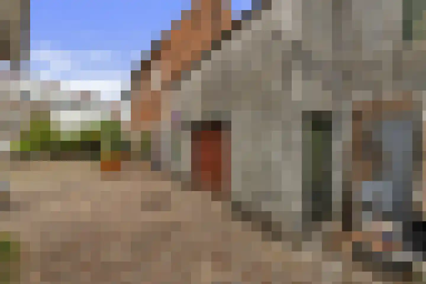 Hamstraat 10 Grave thumbnail 92