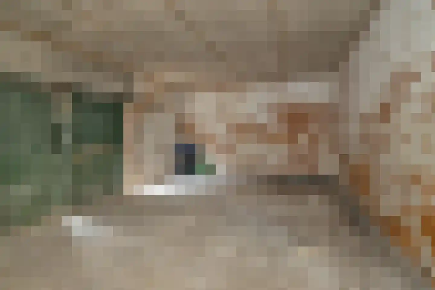 Hamstraat 10 Grave thumbnail 96