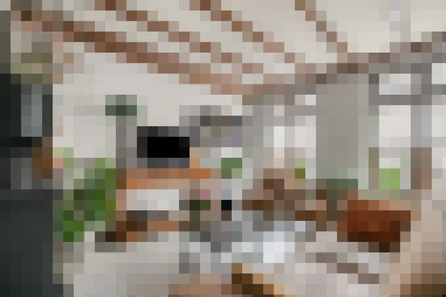 Hamstraat 16 Grave thumbnail 6