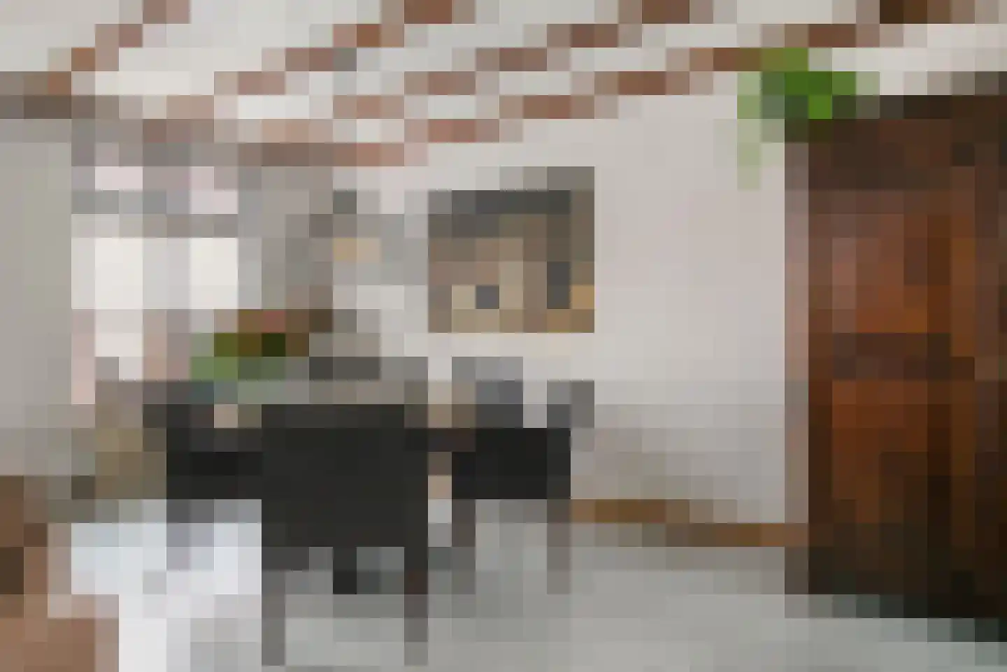 Hamstraat 16 Grave thumbnail 7
