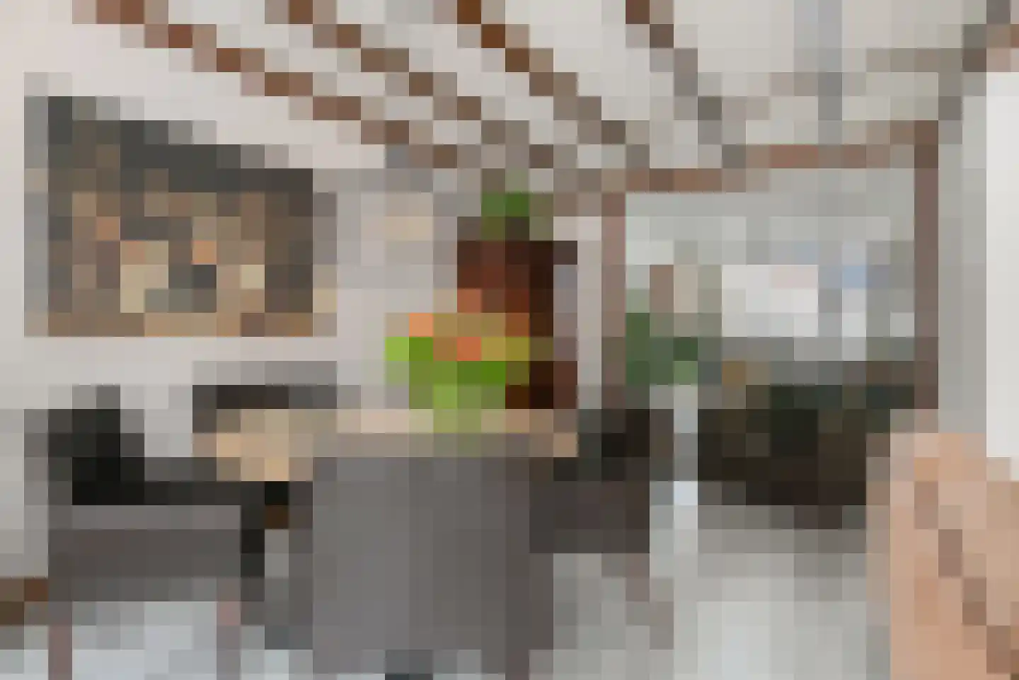 Hamstraat 16 Grave thumbnail 8