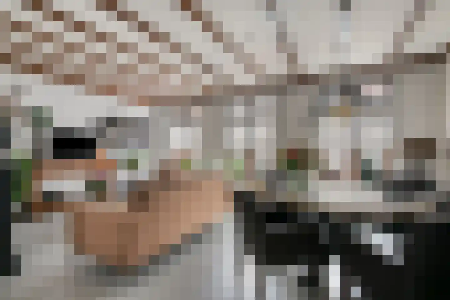 Hamstraat 16 Grave thumbnail 9