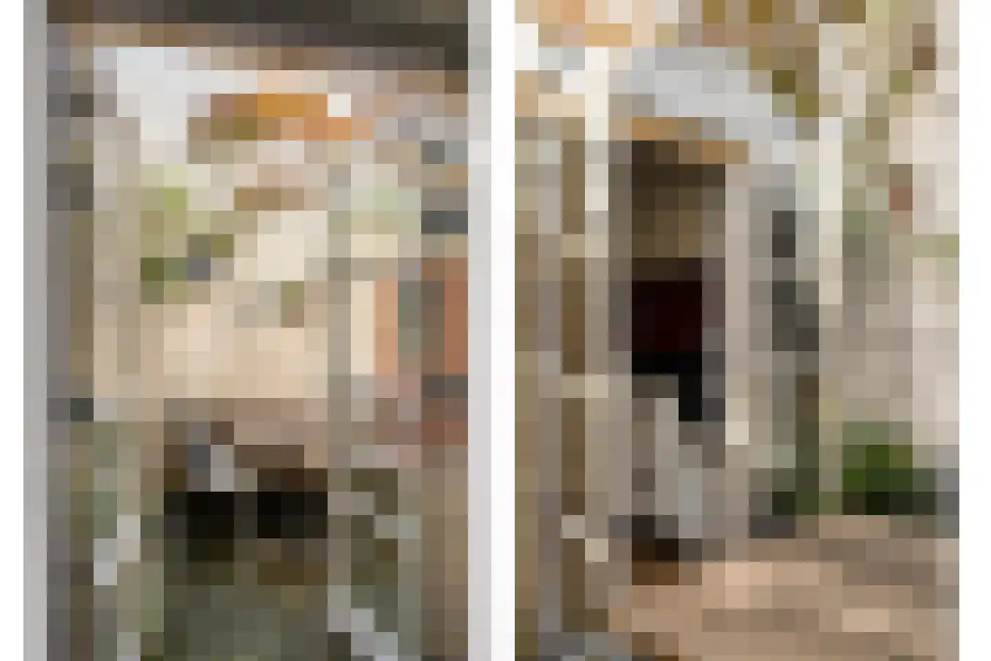 Hamstraat 25 Grave thumbnail 24