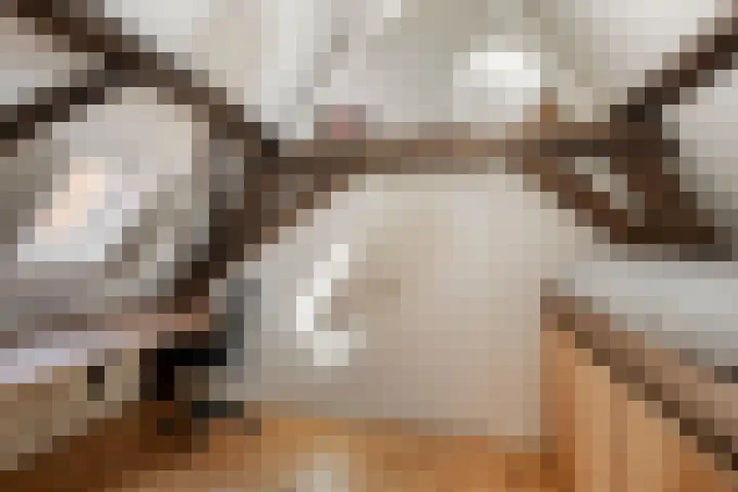 Hamstraat 25 Grave thumbnail 29