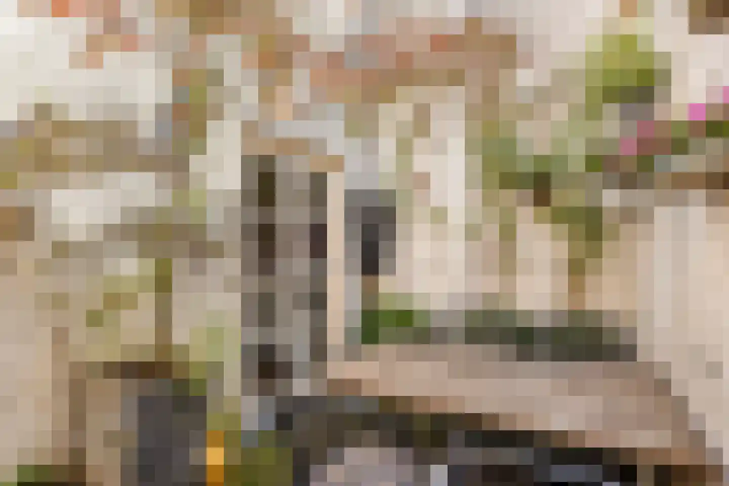 Hamstraat 25 Grave thumbnail 4