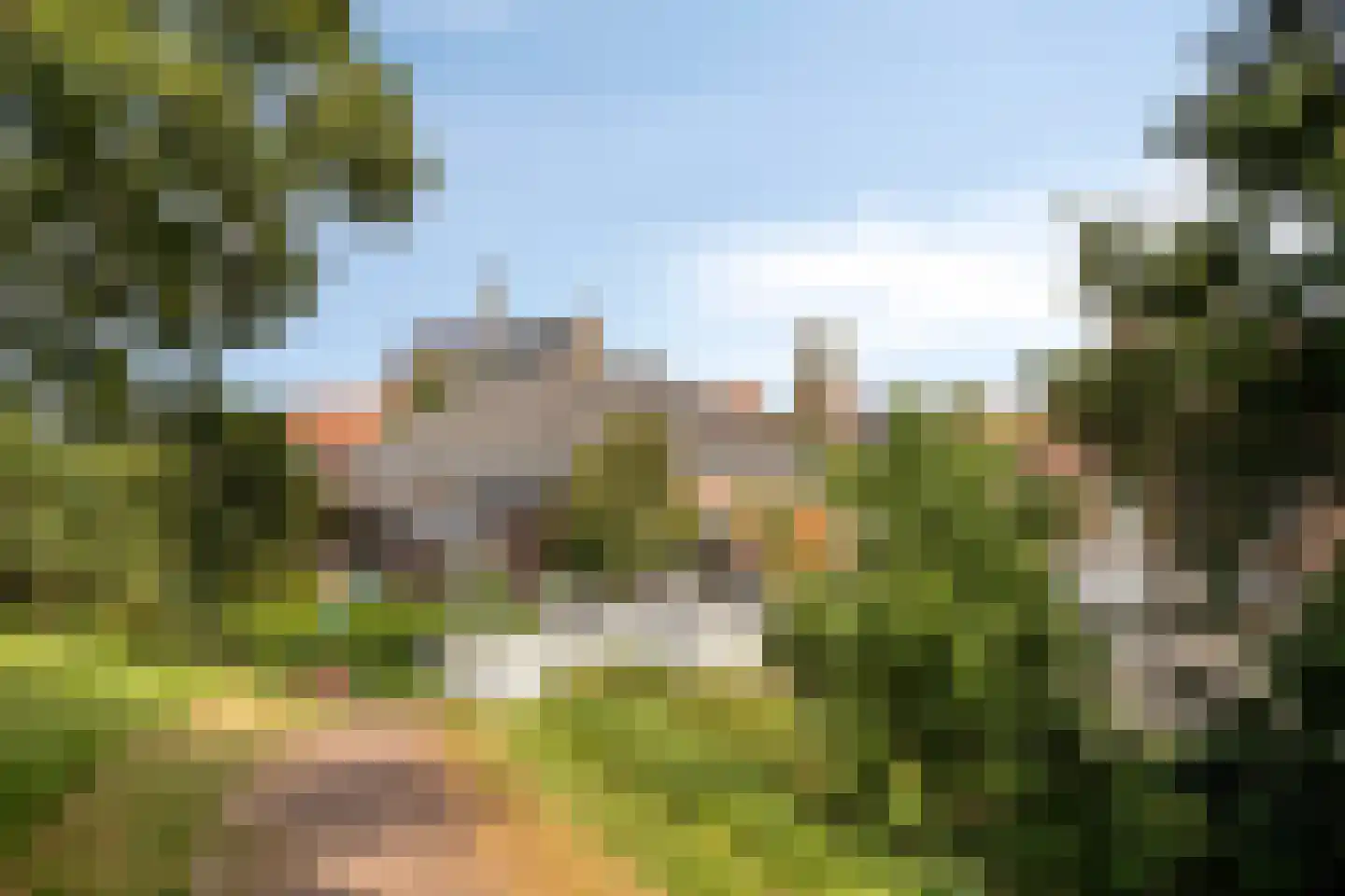 Hamstraat 25 Grave thumbnail 40