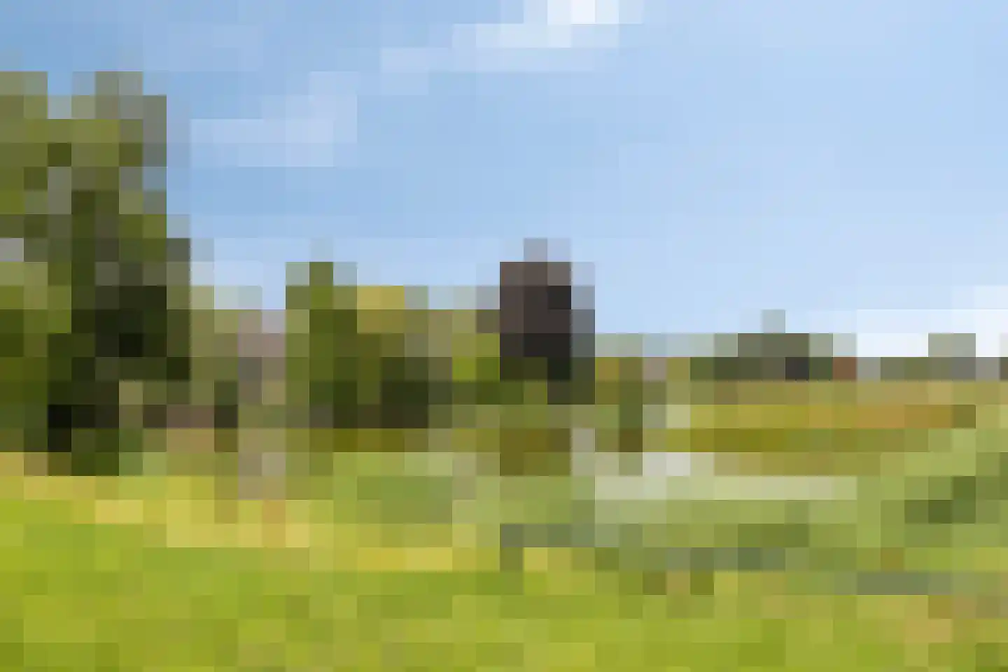 Hamstraat 25 Grave thumbnail 41
