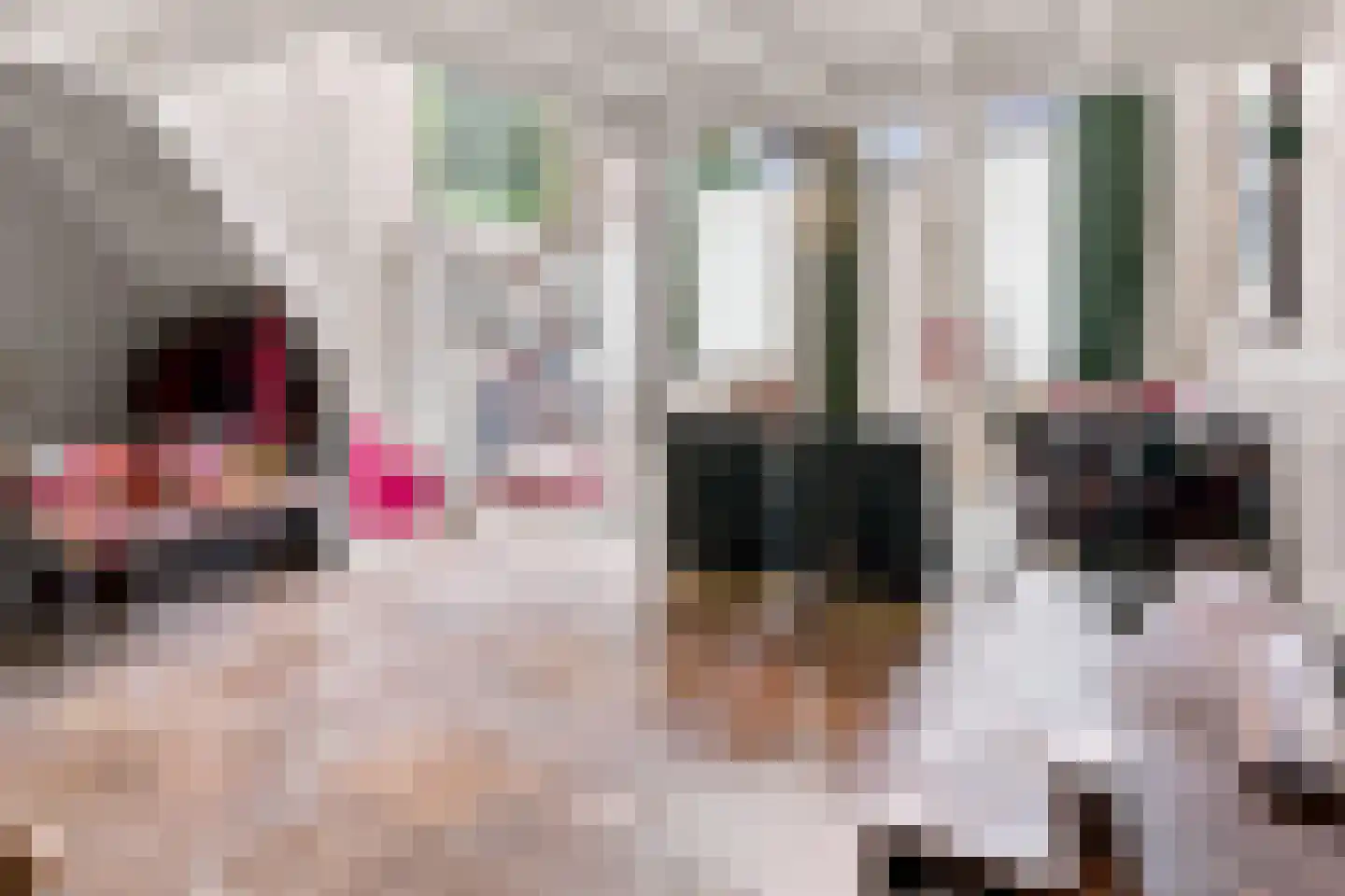 Hamstraat 26 a Grave thumbnail 10