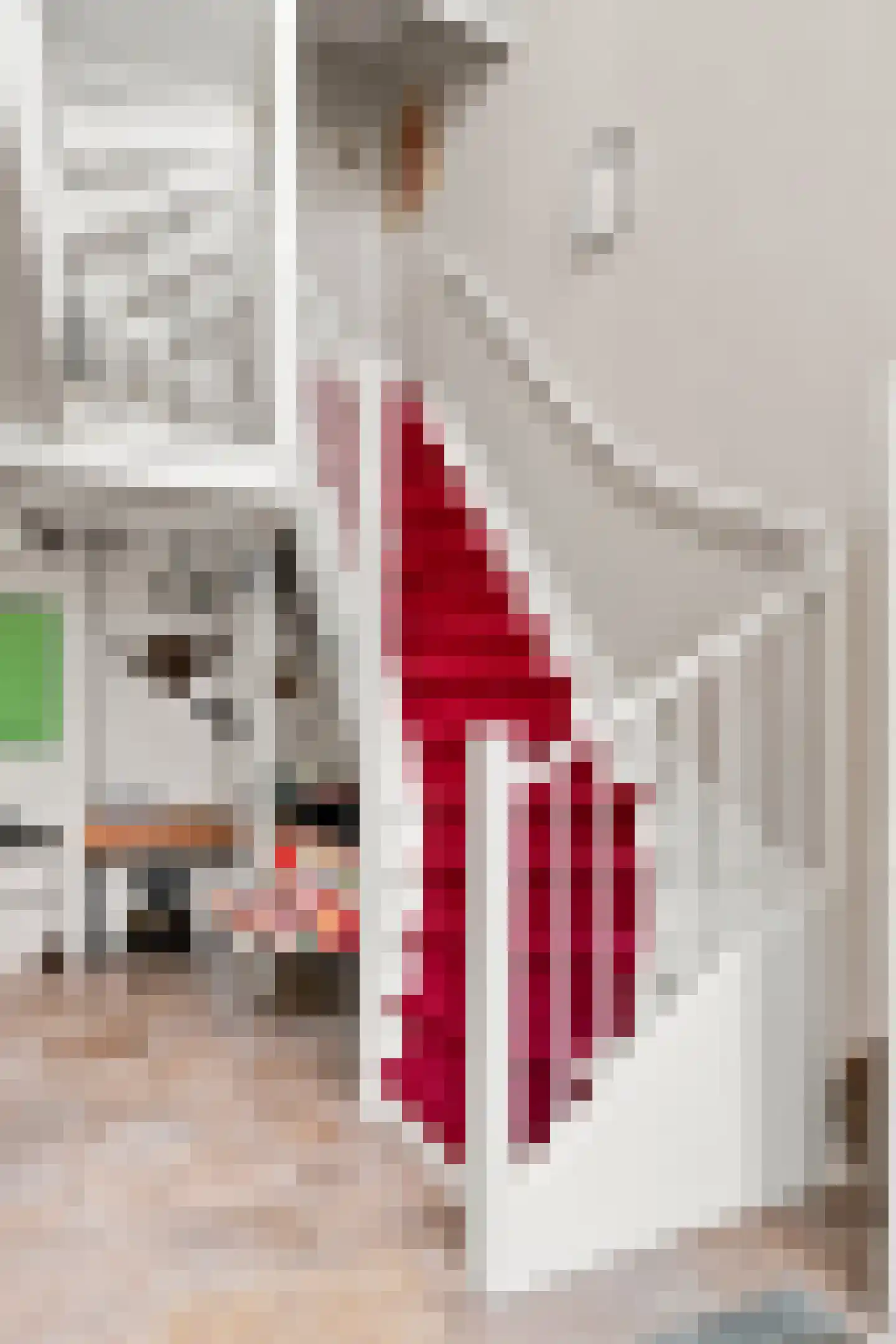 Hamstraat 26 a Grave thumbnail 15