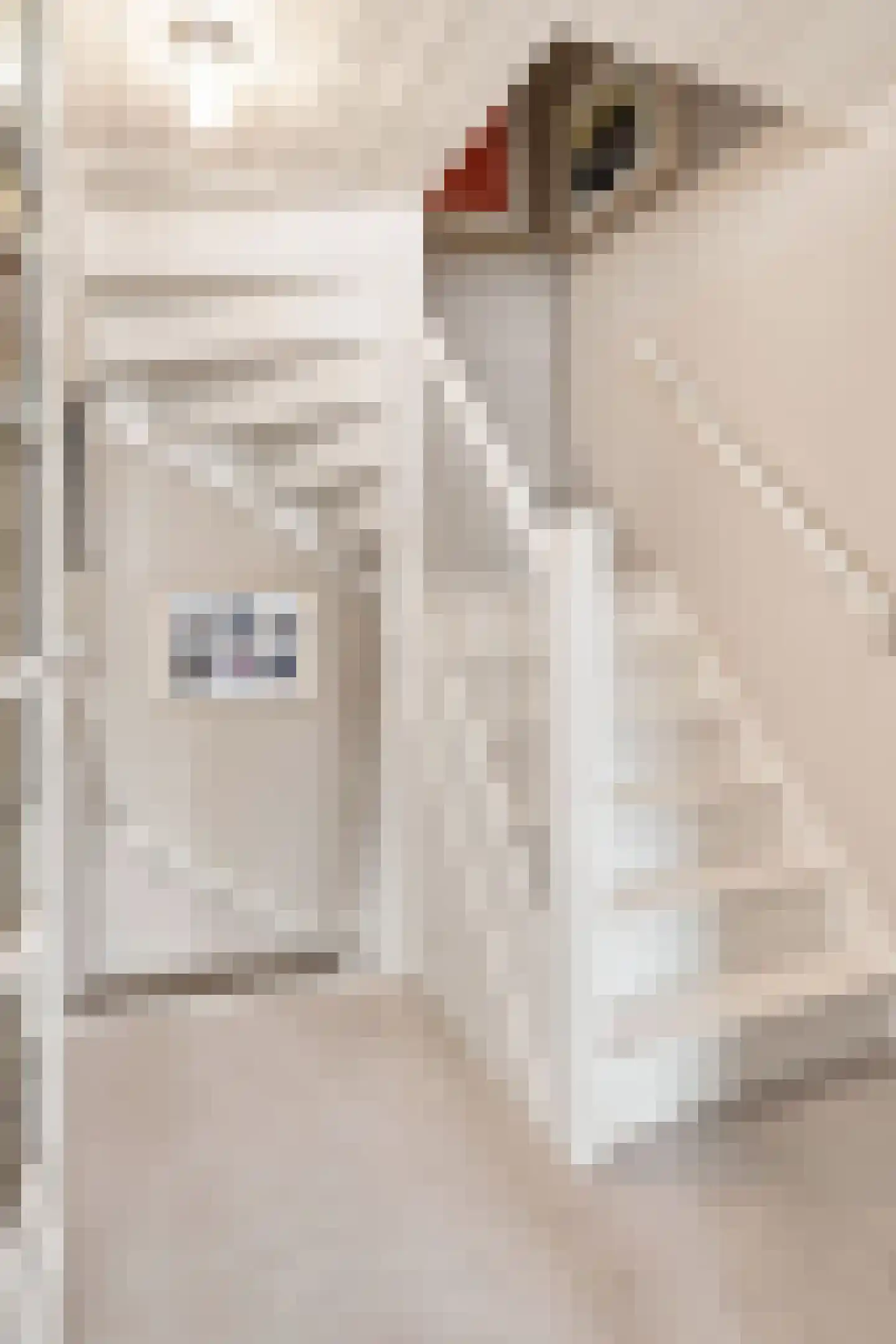 Hamstraat 26 a Grave thumbnail 25