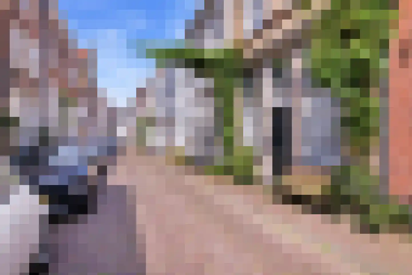 Hamstraat 26 a Grave foto 3