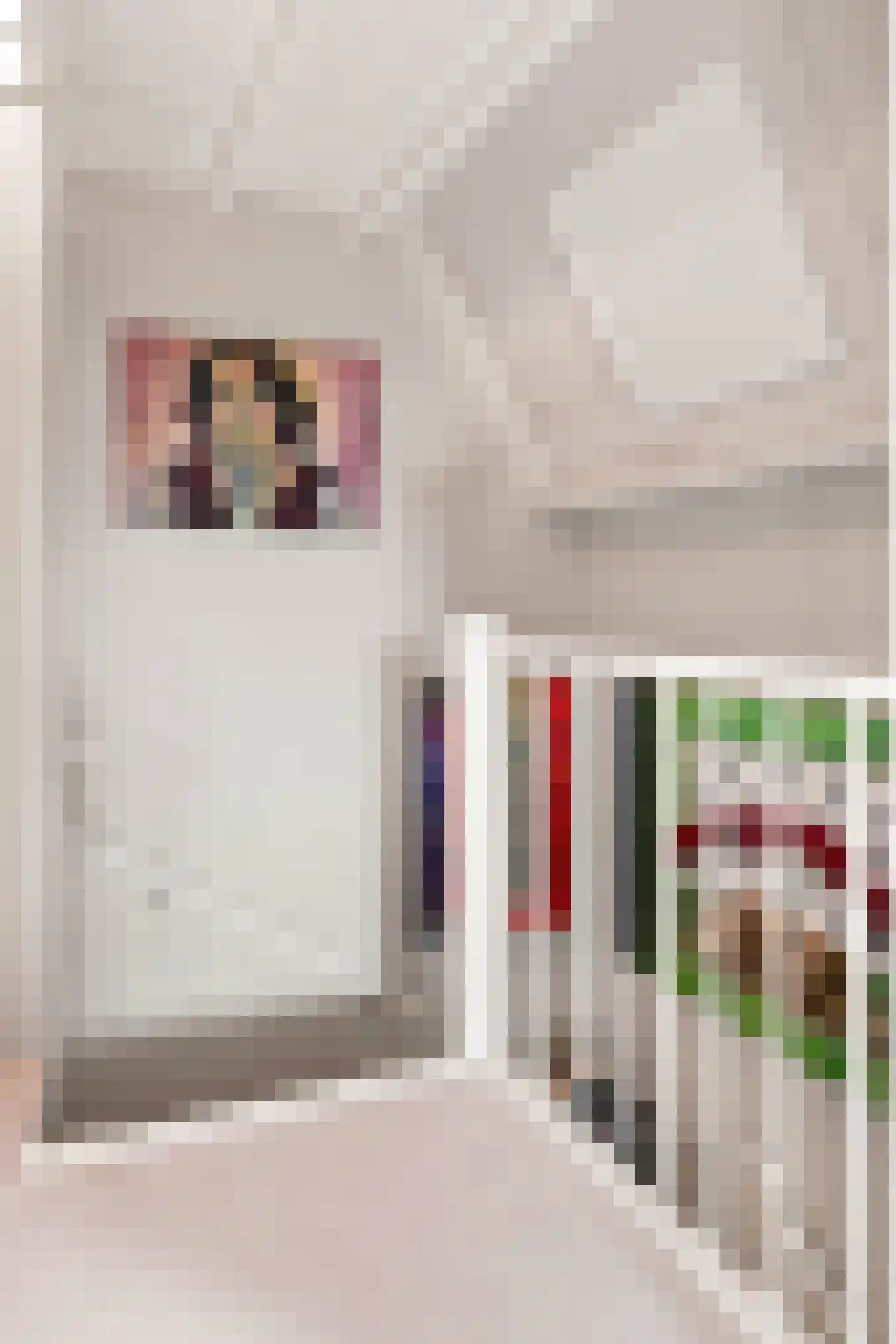 Hamstraat 26 a Grave thumbnail 32