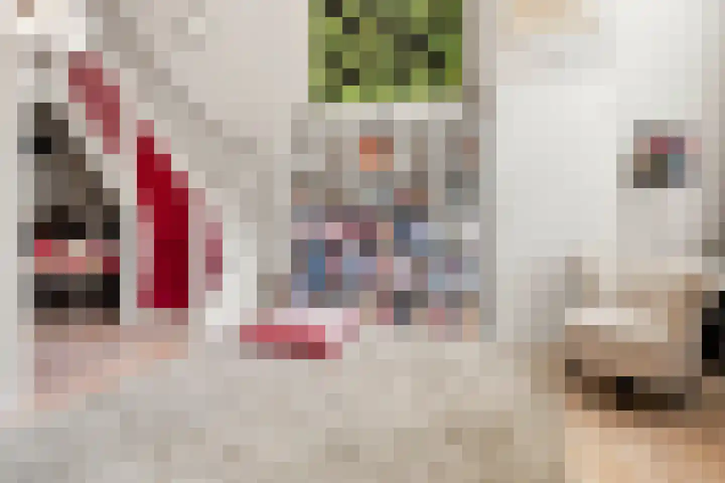 Hamstraat 26 a Grave thumbnail 6