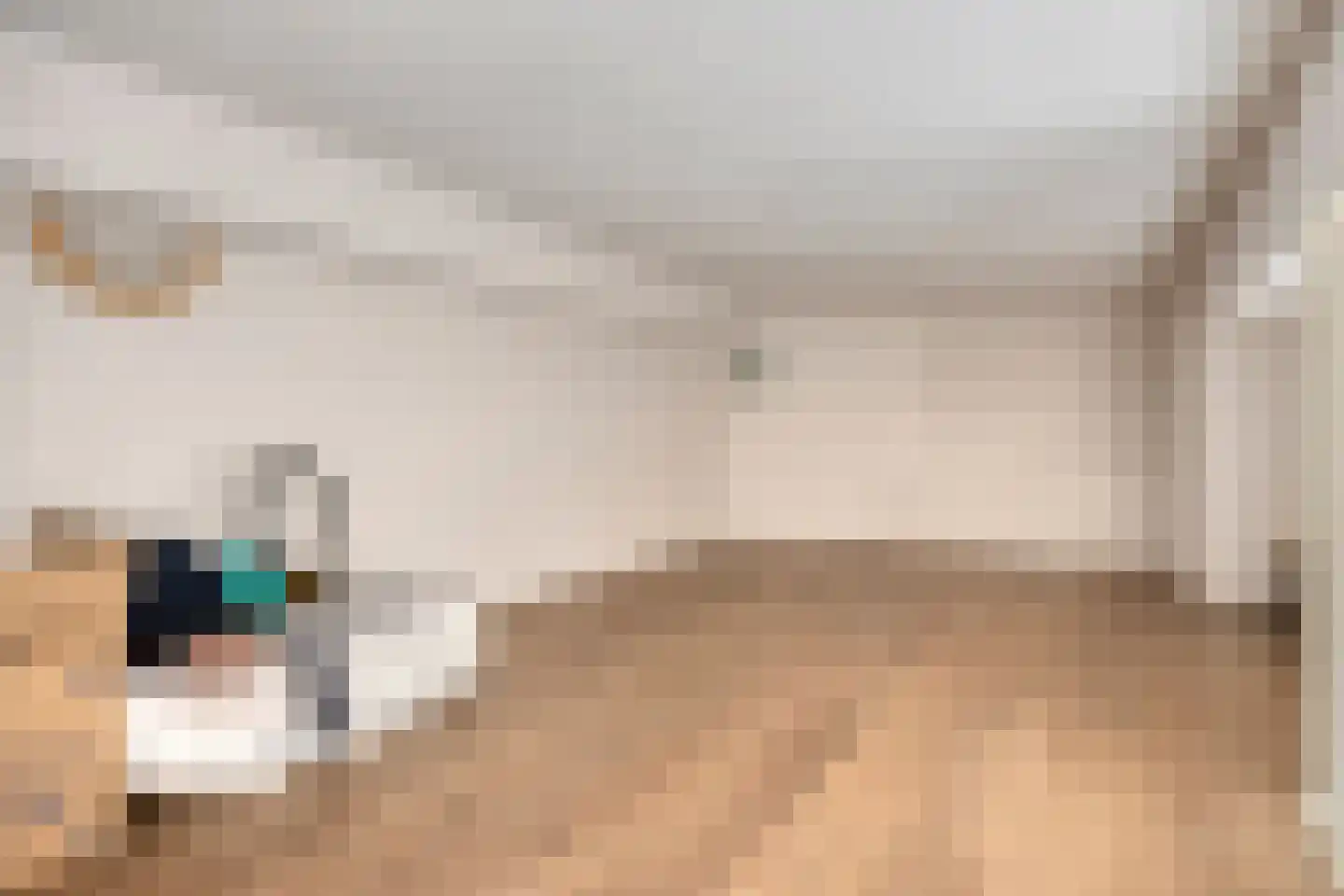 Hamstraat 3 Grave thumbnail 12