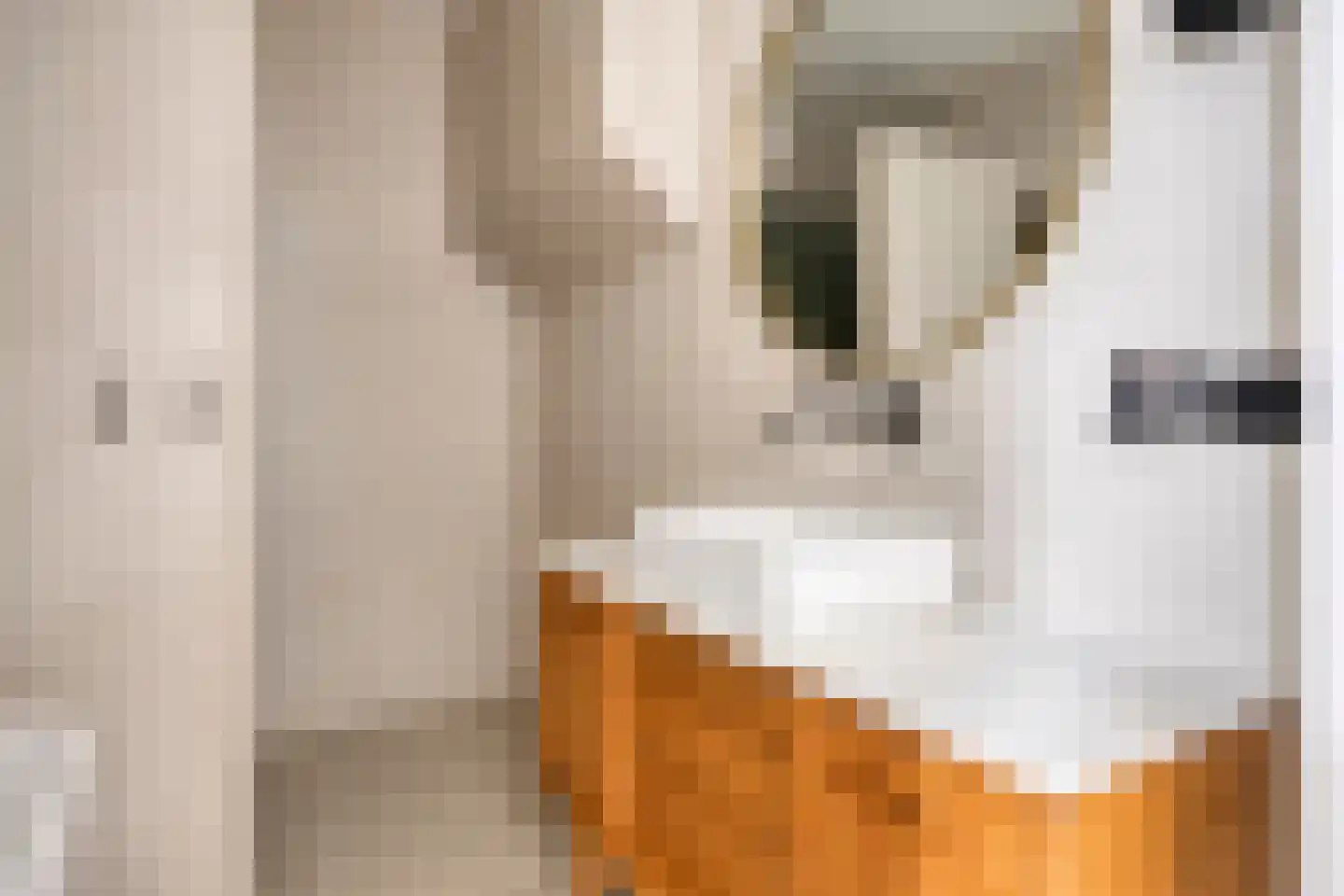 Hamstraat 3 Grave thumbnail 26