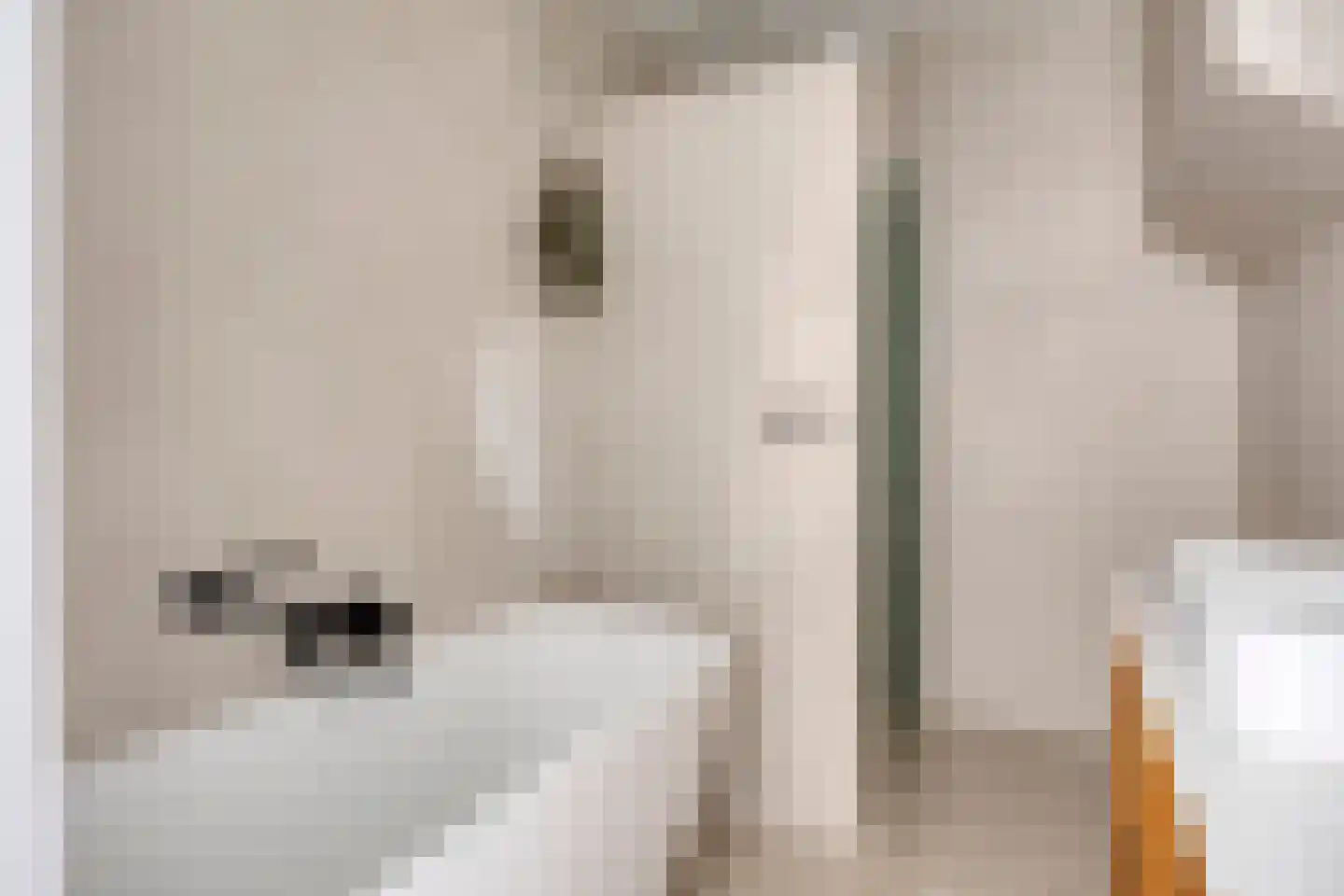 Hamstraat 3 Grave thumbnail 27