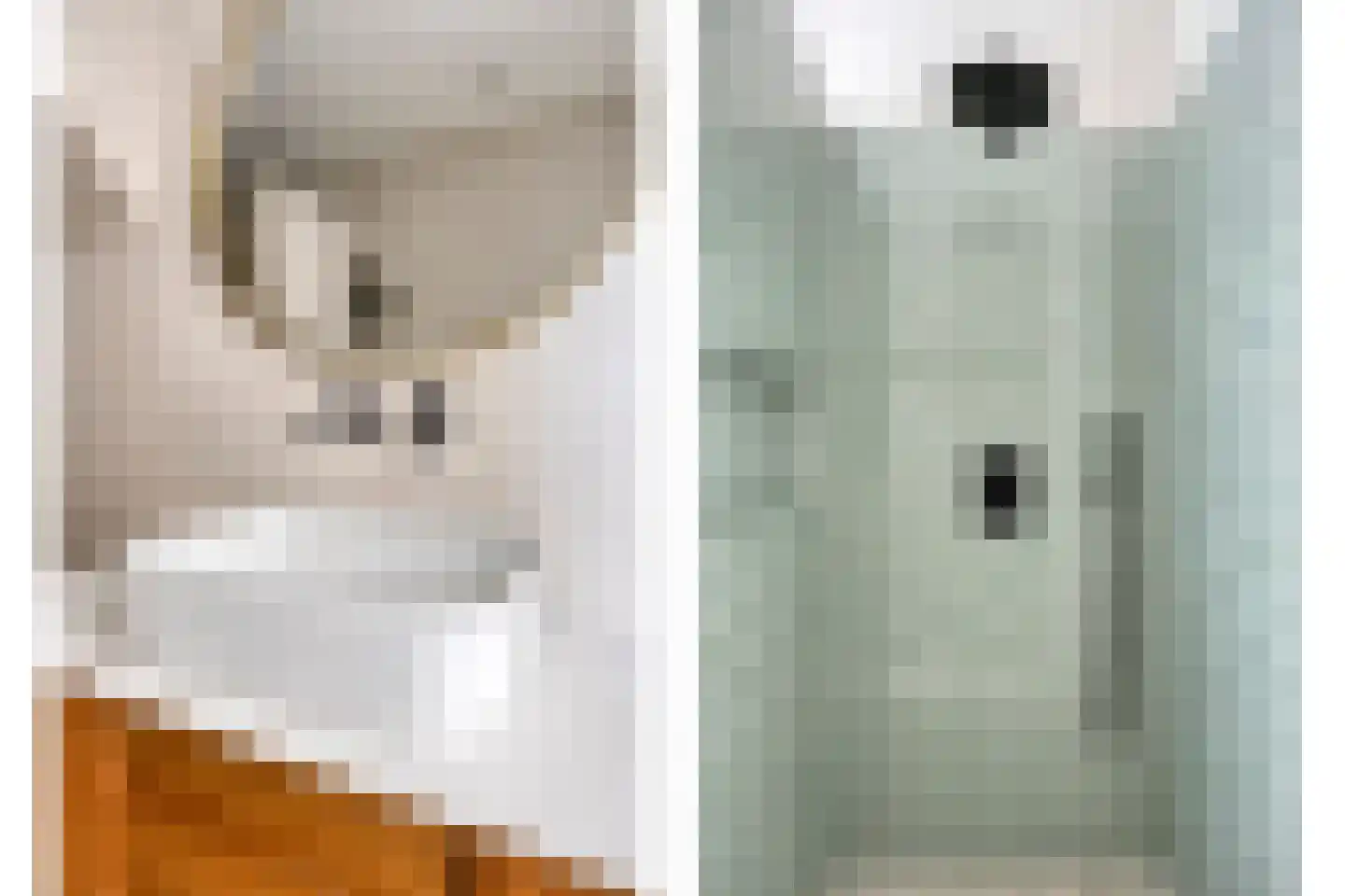 Hamstraat 3 Grave thumbnail 28