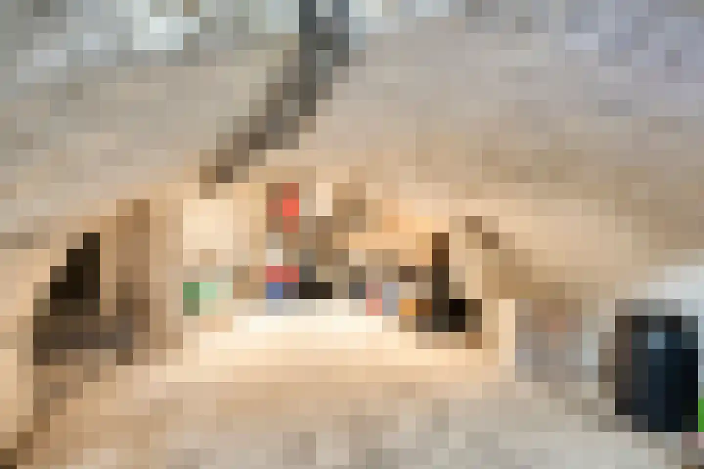 Hamstraat 3 Grave thumbnail 42