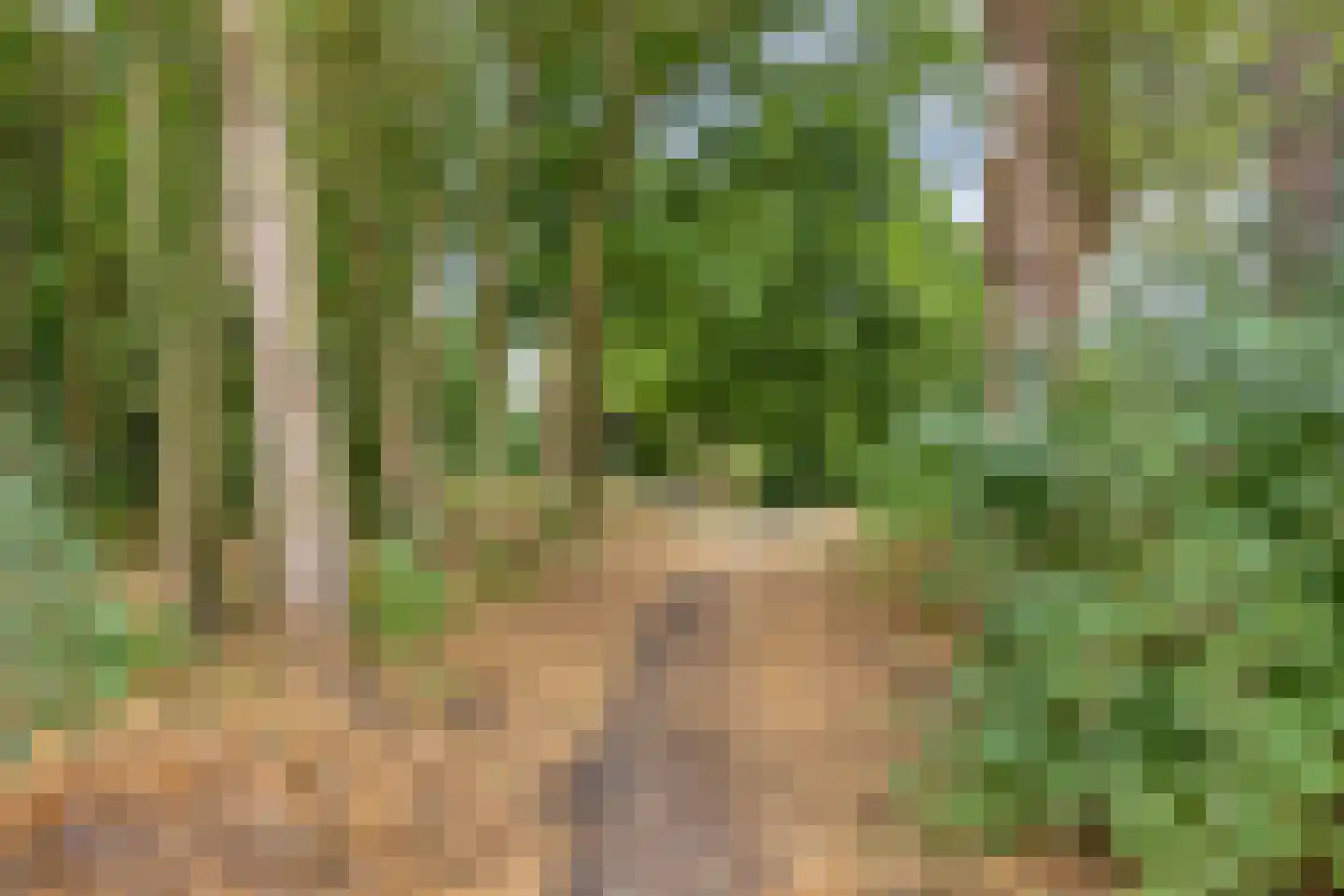 Hamstraat 3 Grave thumbnail 44