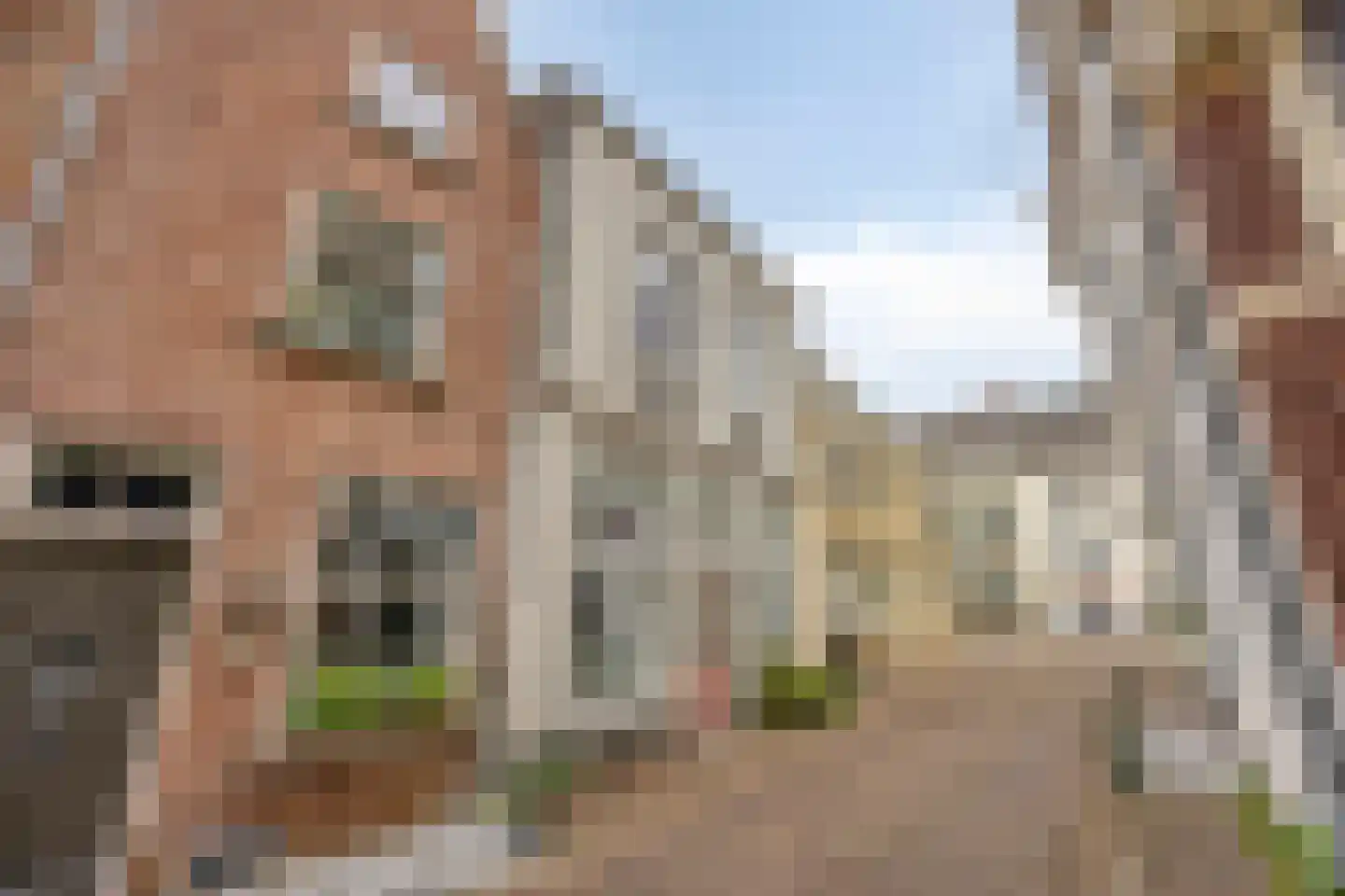 Hamstraat 3 Grave thumbnail 5
