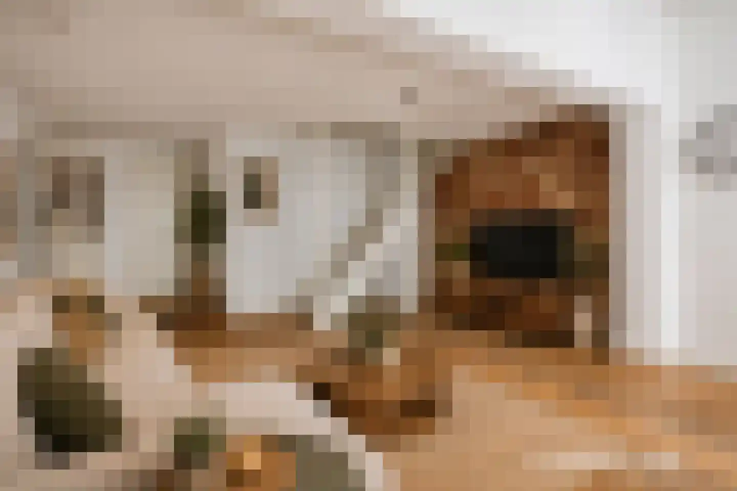 Hamstraat 3 Grave thumbnail 6