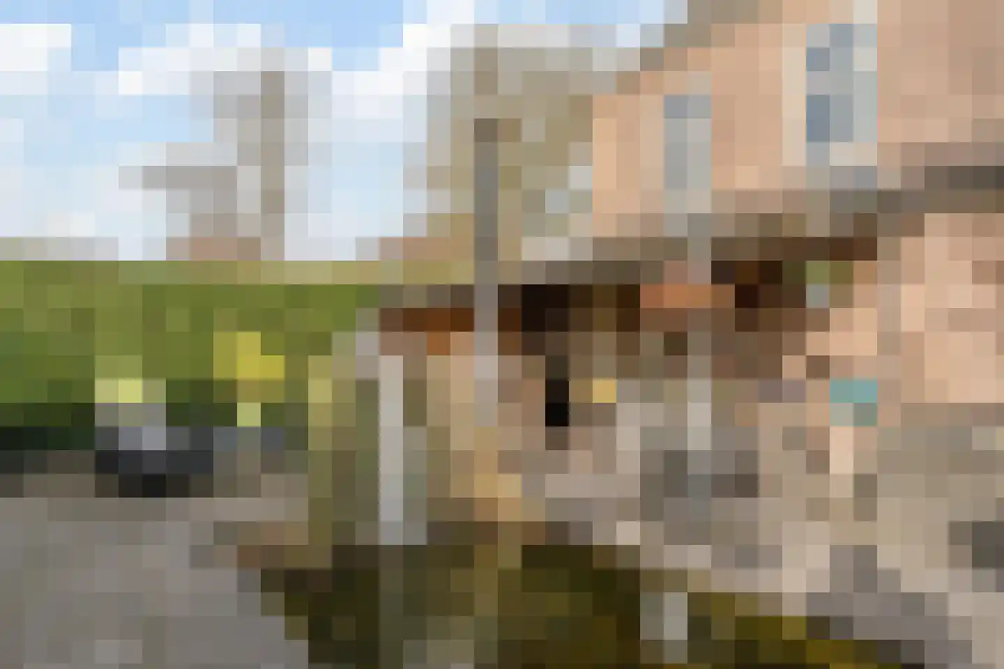 Hamstraat 34 Grave thumbnail 29