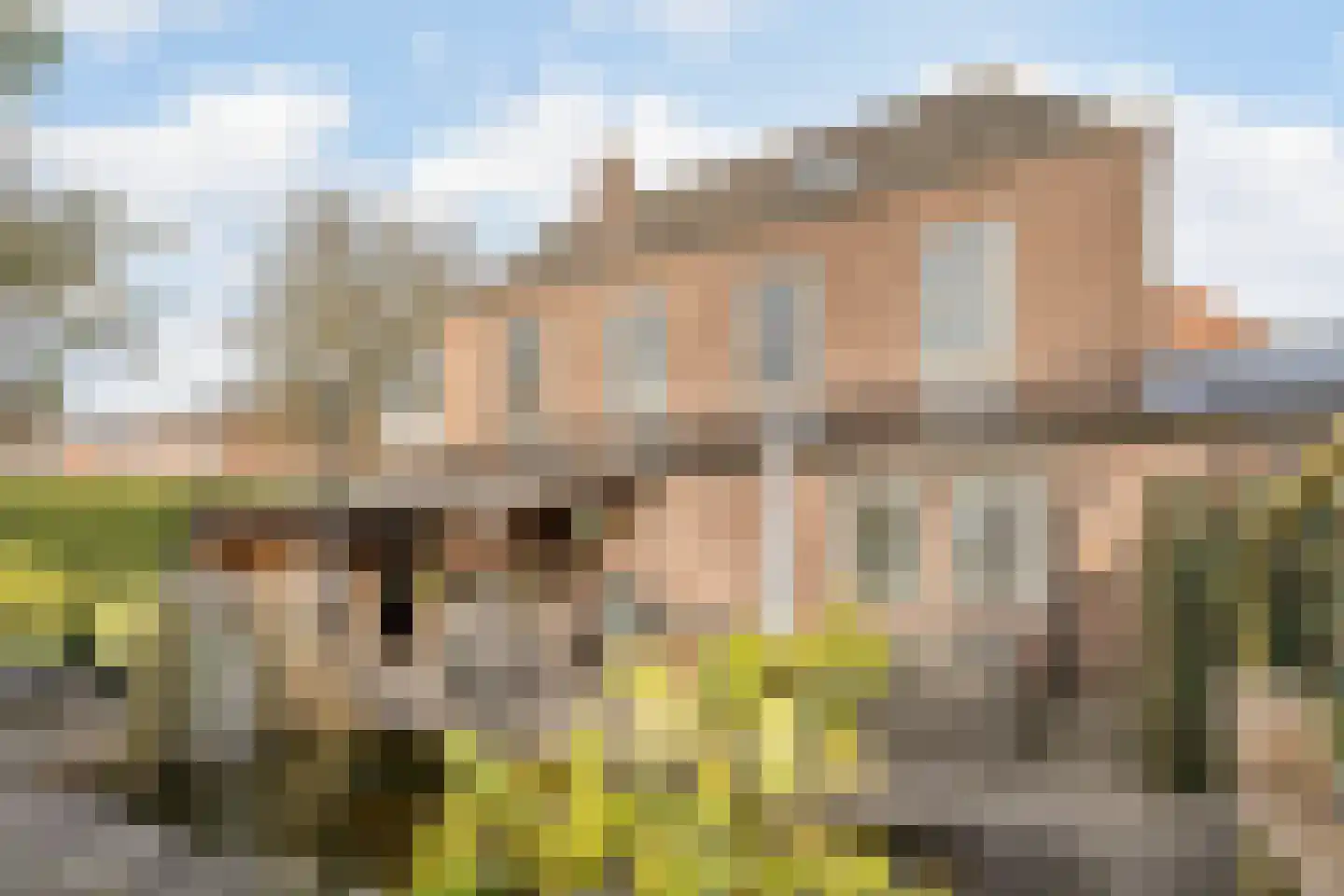 Hamstraat 34 Grave thumbnail 31