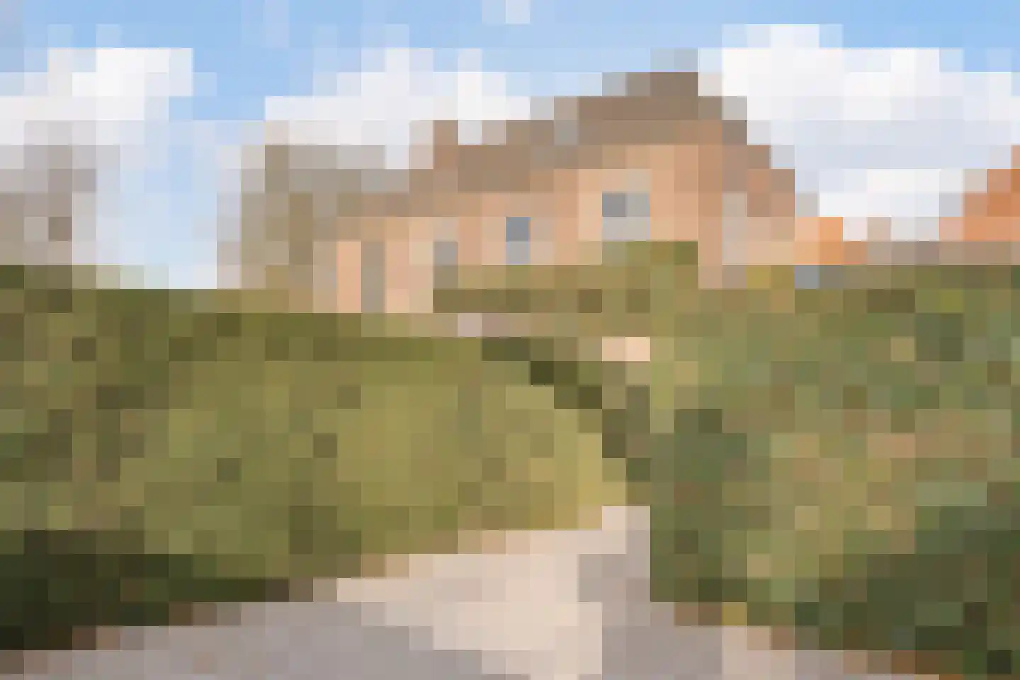 Hamstraat 34 Grave thumbnail 35