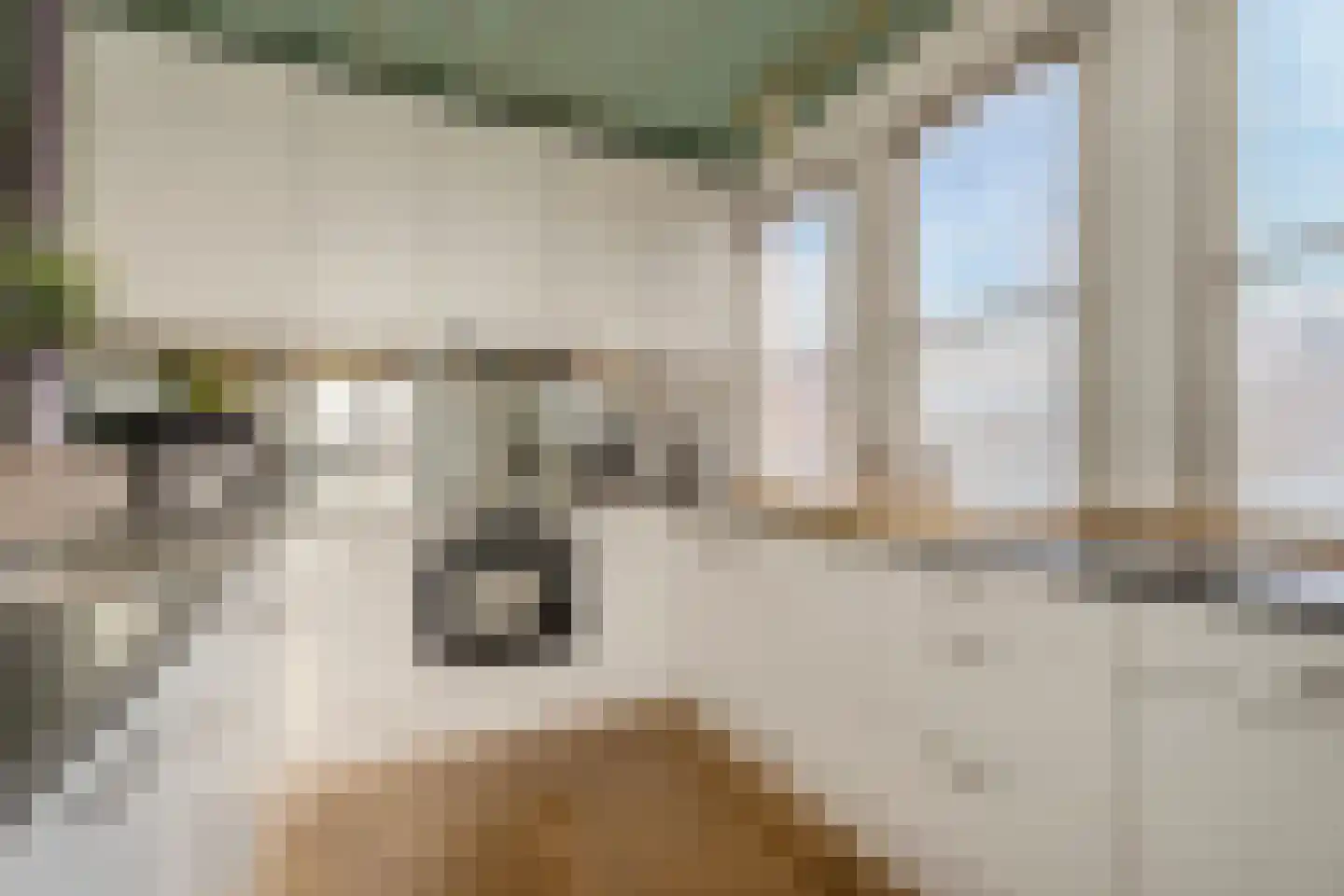 Hamstraat 34 Grave thumbnail 4