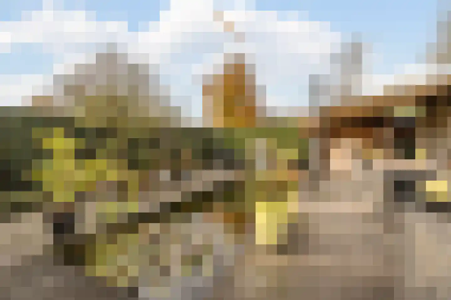 Hamstraat 34 Grave thumbnail 6
