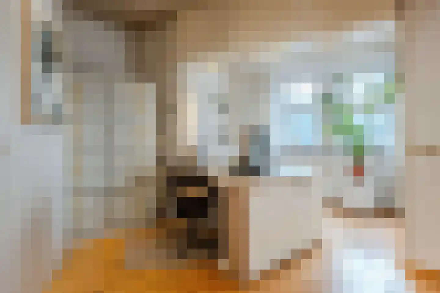 Hamstraat 34 Grave thumbnail 9
