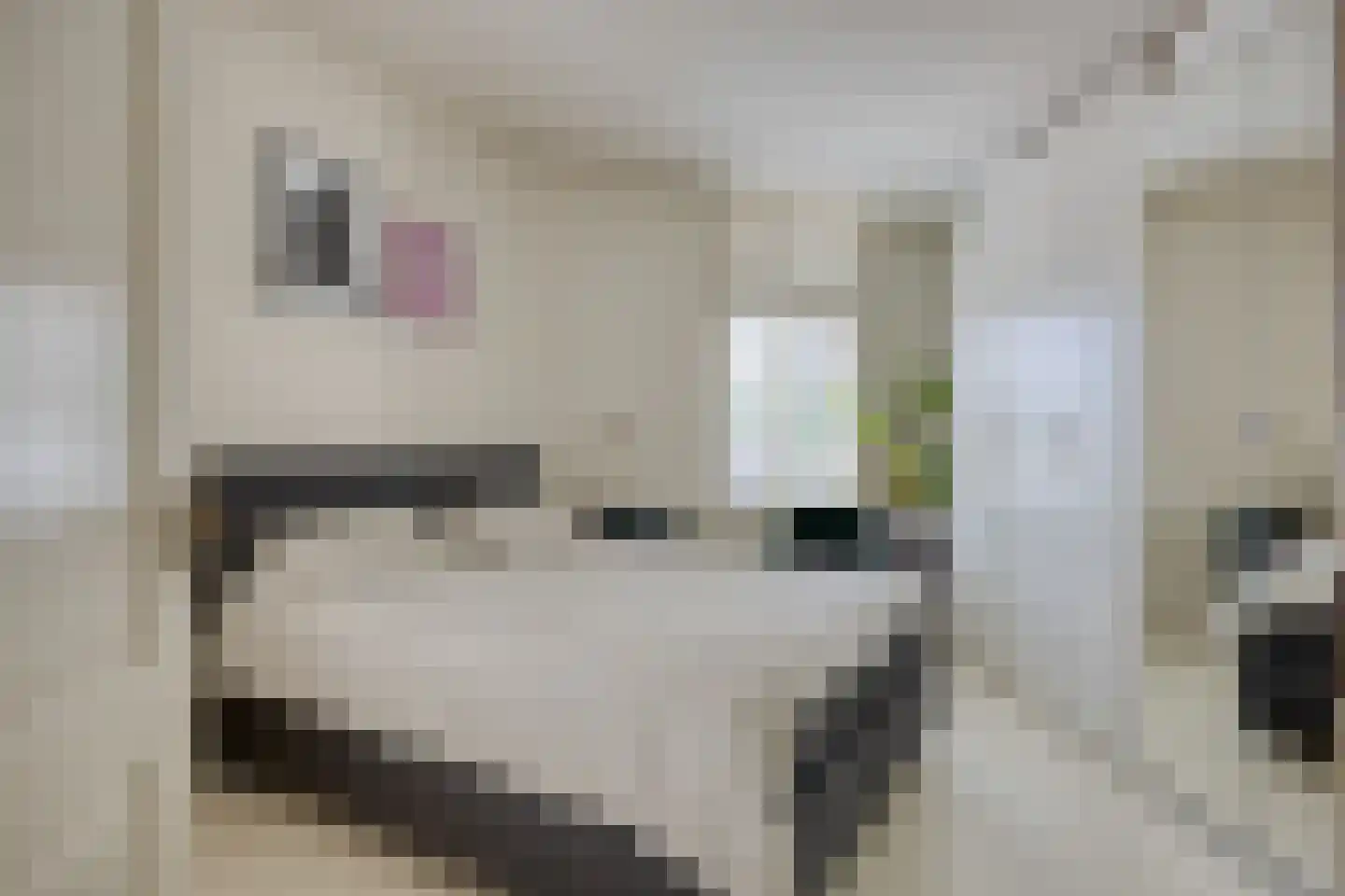 Hamstraat 35 Grave thumbnail 10